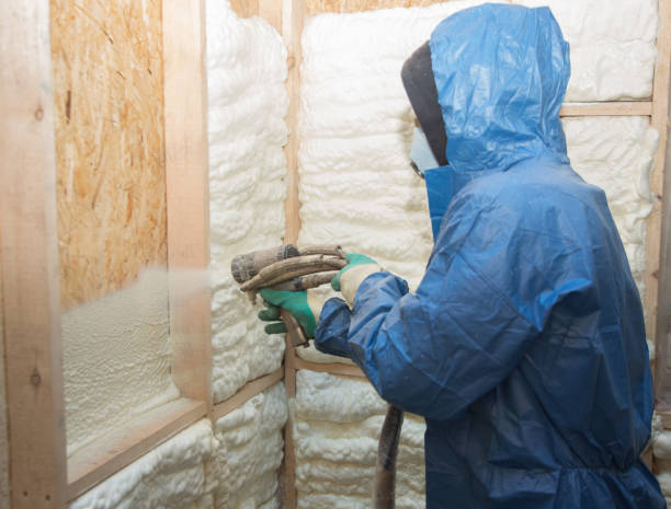 Best Commercial Insulation Services  in Bellevue, IL